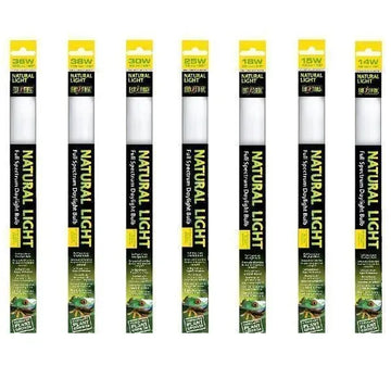 Exo Terra Repti Glo 2.0 Natural Light 75cm 25w - Amazing Amazon
